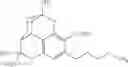 Fig. 37 - RECOMBINANT ACYL ACTIVATING ENZYME (AAE) GENES FOR ENHANCED BIOSYNTHESIS OF CANNABINOIDS AND CANNABINOID PRECURSORS