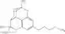 Fig. 38 - RECOMBINANT ACYL ACTIVATING ENZYME (AAE) GENES FOR ENHANCED BIOSYNTHESIS OF CANNABINOIDS AND CANNABINOID PRECURSORS