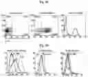 Fig. 03 - GENETICALLY REPROGRAMMED TREGS EXPRESSING CARS