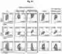 Fig. 13 - GENETICALLY REPROGRAMMED TREGS EXPRESSING CARS