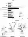 Fig. 14 - GENETICALLY REPROGRAMMED TREGS EXPRESSING CARS