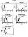 Fig. 15 - GENETICALLY REPROGRAMMED TREGS EXPRESSING CARS