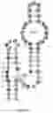 Fig. 14 - Gold optimized CAR t-cells