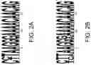 Fig. 03 - NANNOCHLOROPSIS SPLICED LEADER SEQUENCES AND USES THEREFOR