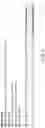 Fig. 04 - NANNOCHLOROPSIS SPLICED LEADER SEQUENCES AND USES THEREFOR