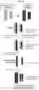 Fig. 04 - Haploid inducer line for accelerated genome editing