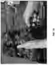 Fig. 02 - ROSE ROSETTE VIRUS INFECTIOUS CLONES AND USES THEREOF