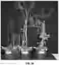 Fig. 06 - ROSE ROSETTE VIRUS INFECTIOUS CLONES AND USES THEREOF