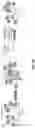 Fig. 13 - ROSE ROSETTE VIRUS INFECTIOUS CLONES AND USES THEREOF