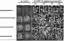 Fig. 01 - Compositions and methods for controlling plant growth