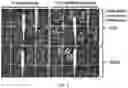 Fig. 03 - Compositions and methods for controlling plant growth