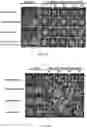Fig. 04 - Compositions and methods for controlling plant growth
