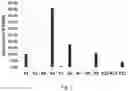 Fig. 02 - Compositions and methods to increase resistance to phytophthora in soybean