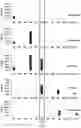 Fig. 03 - Compositions and methods to increase resistance to phytophthora in soybean