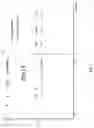 Fig. 14 - Compositions and methods to increase resistance to phytophthora in soybean