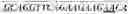 Fig. 07 - Genetically enhanced maize plants