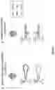 Fig. 04 - Recombinant parvoviral vectors and method of making and use thereof