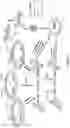 Fig. 19 - Recombinant parvoviral vectors and method of making and use thereof