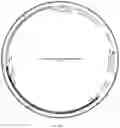 Fig. 23 - DUAL EXPRESSION VECTOR FOR GENE AUGMENTATION FOR CRUMBS COMPLEX HOMOLOGUE 1 (CRB1) MUTATIONS