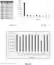 Fig. 05 - RECOMBINANT ADENO-ASSOCIATED VIRUSES AND USES THEREOF
