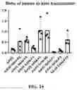 Fig. 36 - RECOMBINANT ADENO-ASSOCIATED VIRUSES AND USES THEREOF