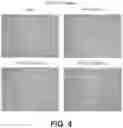 Fig. 04 - CELL EXPANSION WITH SELF-REPLICATING RNA VECTORS EXPRESSING IMMORTALIZATION PROTEINS