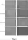 Fig. 07 - CELL EXPANSION WITH SELF-REPLICATING RNA VECTORS EXPRESSING IMMORTALIZATION PROTEINS