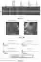 Fig. 22 - RAAV-GUANYLATE CYCLASE COMPOSITIONS AND METHODS FOR TREATING LEBER'S CONGENITAL AMAUROSIS-1 (LCA1)