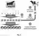 Fig. 02 - Use of Haploid Embryonic Cells to Generate Offspring with Predetermined Genomes