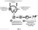 Fig. 07 - Use of Haploid Embryonic Cells to Generate Offspring with Predetermined Genomes