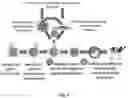 Fig. 08 - Use of Haploid Embryonic Cells to Generate Offspring with Predetermined Genomes