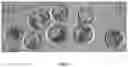 Fig. 10 - Use of Haploid Embryonic Cells to Generate Offspring with Predetermined Genomes