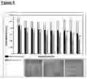 Fig. 10 - IMPROVEMENTS RELATING TO CELL TRANSFECTION