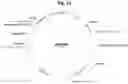 Fig. 11 - Biosynthetic Cannabidiol Production In Engineered Microorganisms
