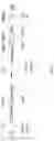 Fig. 04 - SYNTHESIS OF LONG-CHAIN POLYUNSATURATED FATTY ACIDS BY RECOMBINANT CELL