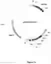 Fig. 08 - SYNTHESIS OF LONG-CHAIN POLYUNSATURATED FATTY ACIDS BY RECOMBINANT CELL
