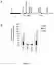 Fig. 14 - SYNTHESIS OF LONG-CHAIN POLYUNSATURATED FATTY ACIDS BY RECOMBINANT CELL