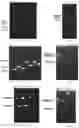 Fig. 02 - Xylose-induced genetically engineered bacteria used for producing ectoine and use thereof