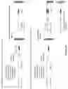 Fig. 11 - Methods and compositions for size-controlled homopolymer tailing of substrate polynucleotides by a nucleic acid polymerase