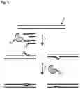 Fig. 02 - POLYNUCLEOTIDE MODIFICATION METHODS