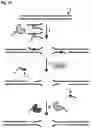Fig. 11 - POLYNUCLEOTIDE MODIFICATION METHODS