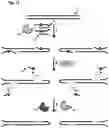 Fig. 13 - POLYNUCLEOTIDE MODIFICATION METHODS