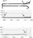 Fig. 22 - POLYNUCLEOTIDE MODIFICATION METHODS
