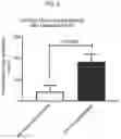 Fig. 04 - METHOD FOR PROCESSING AND ANALYSIS OF VISCOUS LIQUID BIOLOGICAL SAMPLES
