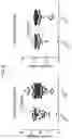 Fig. 07 - METHOD FOR PROCESSING AND ANALYSIS OF VISCOUS LIQUID BIOLOGICAL SAMPLES