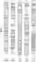 Fig. 08 - METHOD FOR QUANTIFYING CITRULLINE, OXIDOREDUCTASE FOR QUANTIFICATION, COMPOSITION FOR QUANTIFICATION, KIT FOR QUANTIFICATION, AND METHOD FOR EVALUATING ACTIVITY OF PEPTIDYLARGININE DEIMINASE
