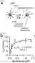 Fig. 03 - METHODS AND COMPOSITIONS FOR NONINVASIVE DETECTION OF ORGAN TRANSPLANT REJECTION