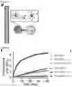 Fig. 07 - METHODS AND COMPOSITIONS FOR NONINVASIVE DETECTION OF ORGAN TRANSPLANT REJECTION