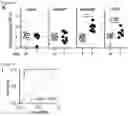 Fig. 13 - METHODS AND COMPOSITIONS FOR NONINVASIVE DETECTION OF ORGAN TRANSPLANT REJECTION
