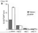 Fig. 20 - METHODS AND COMPOSITIONS FOR NONINVASIVE DETECTION OF ORGAN TRANSPLANT REJECTION